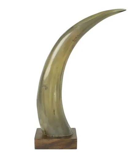 Dekorativní roh Bizon na dřevěném podstavci - 35cm HEHH35