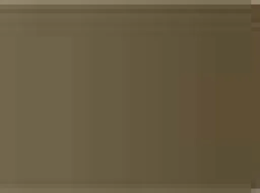 Pastel Caran d'Ache Neocolor I 049 Raw umber