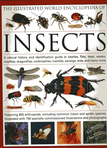 The Illustrated World Encyclopaedia of Insects - Martin Walters