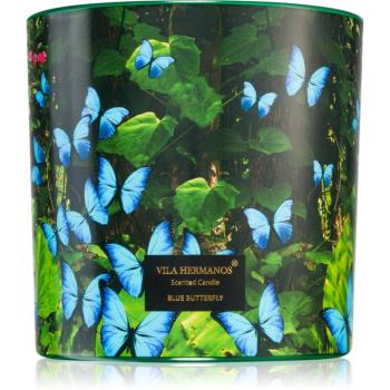 Vila Hermanos Jungletopia Blue Butterfly vonná svíčka 620 g