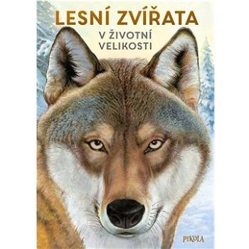 Lesní zvířata v životní velikosti (978-80-242-8310-4)