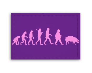 Fotoobraz 90x60 cm střední  Evolution Pig