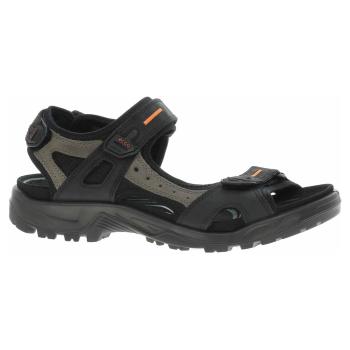 Pánské sandály Ecco Offroad 06956450034 black-mole