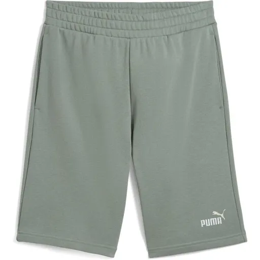Puma ESSENTIALS 2 COLOR NO 1 LOGO SHORTS 10 Pánské teplákové kraťasy, zelená, velikost
