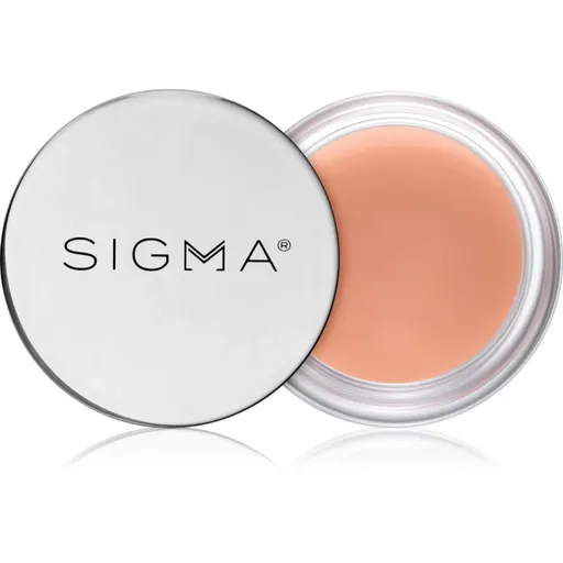 Sigma Beauty Hydro Melt Lip Mask hydratační maska na rty s kyselinou hyaluronovou odstín Hush 9.6 g