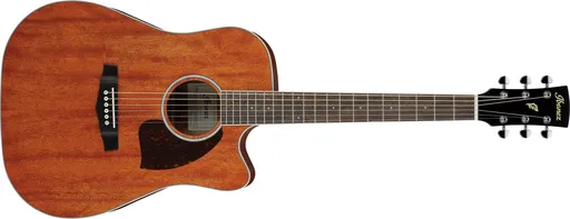 Ibanez PF16MWCE Natural