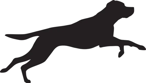 Vsepropejska Labrador 3 dřevěná dekorace na zeď Rozměr (cm): 21 x 38