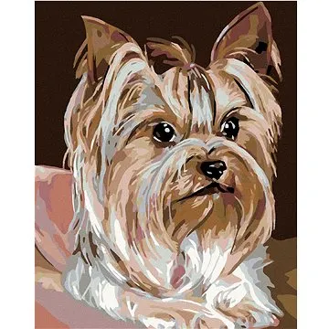 Malování podle čísel - Jorkšírka (HRAmal00090nad)