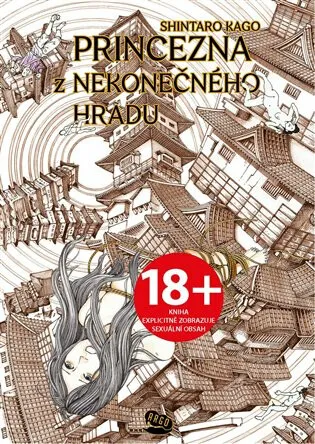 Princezna z Nekonečného hradu - Šintaró Kago