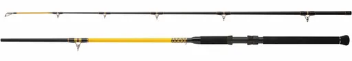Wft prut never crack catfish boat 2,4 m 250-1000 g