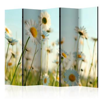 Paraván Daisies - spring meadow Dekorhome 225x172 cm (5-dílný)