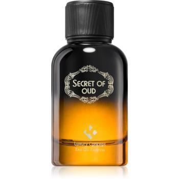 Luxury Concept Secret Of Oud parfémovaná voda unisex 100 ml