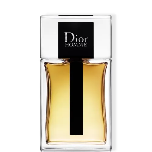 Dior Dior Homme Eau de Toilette New toaletní voda 100 ml