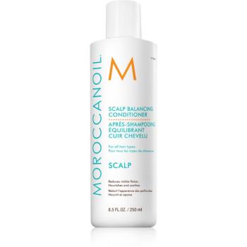 Moroccanoil Scalp Conditioner zklidňující kondicionér pro mastnou pokožku hlavy proti lupům 250 ml