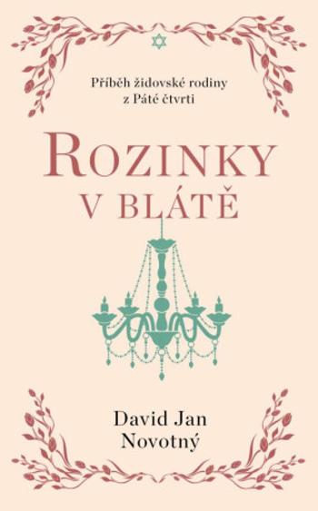 Rozinky v blátě - David Jan Novotný