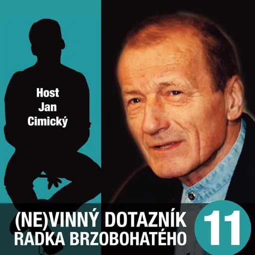 (Ne)vinný dotazník Radka Brzobohatého 11. - audiokniha