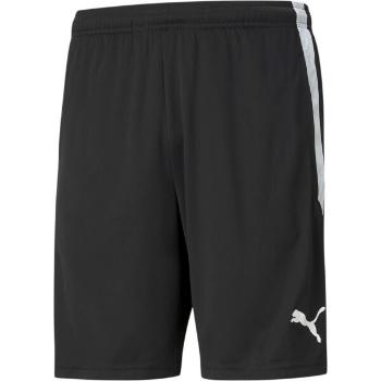 Puma TEAM LIGA TRAINING SHORTS Pánské fotbalové kraťasy, černá, velikost