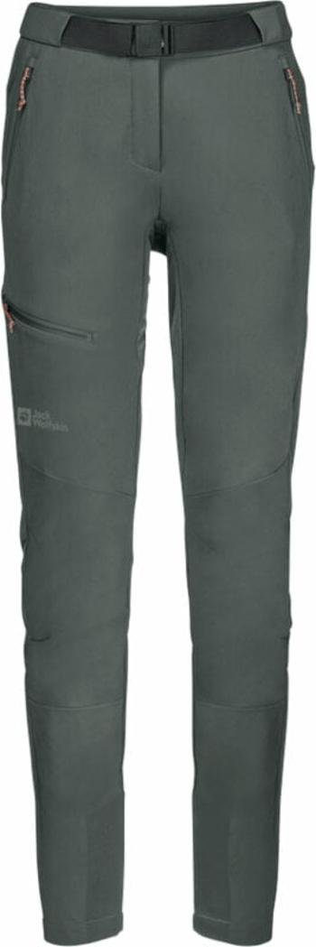 Jack Wolfskin Ziegspitz W Slate Green M Outdoorové kalhoty