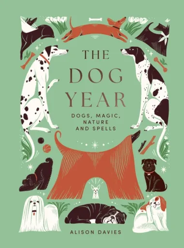 The Dog Year - Alison Daviesová