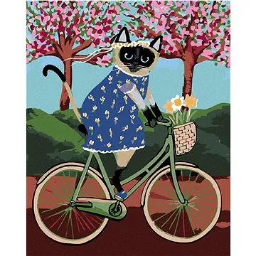 Malování podle čísel - Kočička na kole (HRAmal00258nad)