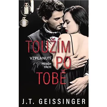 Toužím po tobě (978-80-7642-913-0)