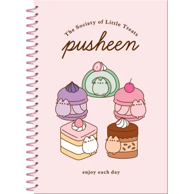 Pusheen set - kroužkový blok a samolepky DPL10