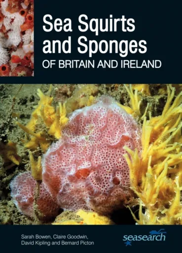 Sea Squirts and Sponges of Britain and Ireland - Bernard Picton, Sarah Bowen, David Kipling, Claire Goodwin