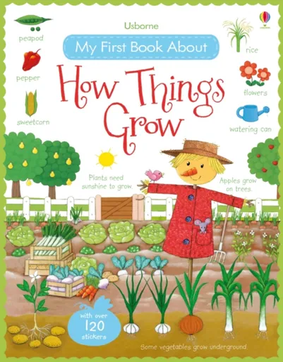 My First Book About How Things Grow - Felicity Brooks