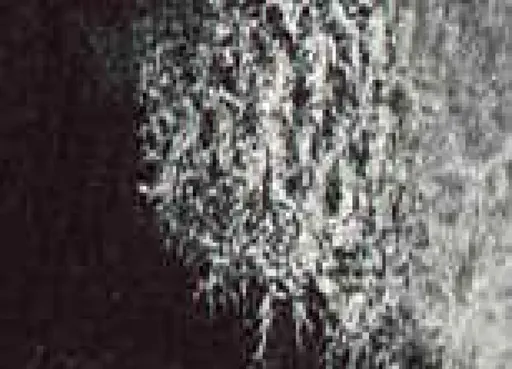 Akvarelová barva DS 15ml – 049 Lunar Black