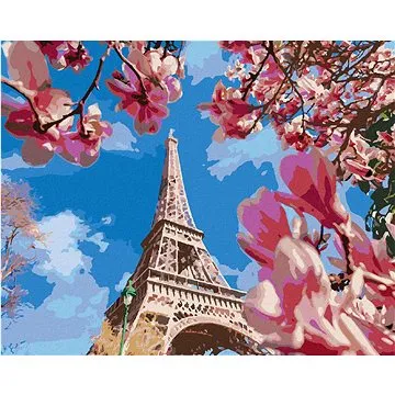 Zuty - Malování podle čísel - PAŘÍŽ A MAGNÓLIE, 80x100 cm, vypnuté plátno na rám (HRAmmb11781nad)