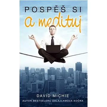 Pospěš si a medituj (978-80-7370-478-0)