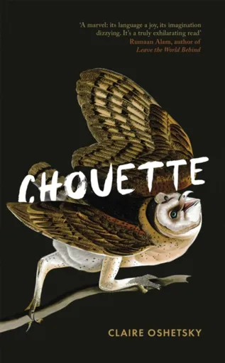 Chouette - Claire Oshetsky