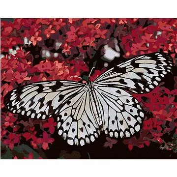 Diamondi - Diamantové malování - BÍLÝ MOTÝL A ČERVENÉ KVĚTINY, 40x50 cm, Vypnuté plátno na rám (605497B)