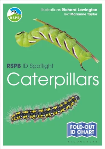 RSPB ID Spotlight - Caterpillars - Taylor Marianne