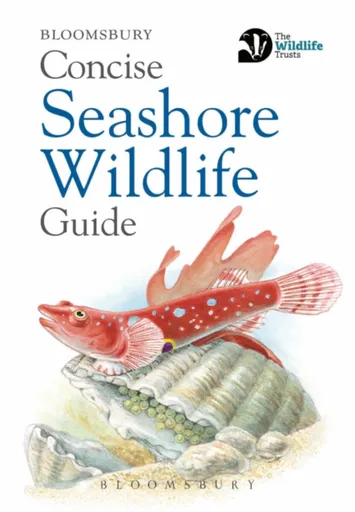 Concise Seashore Wildlife Guide - Bloomsbury