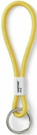 PANTONE Poutko na klíče S - Yellow 012