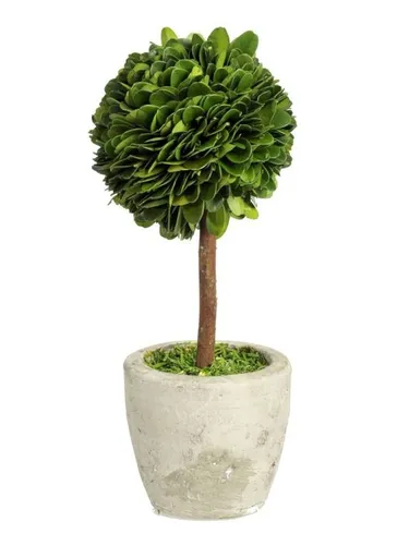 Buxus na kmínku v květináči - Ø10*24 cm J-Line by Jolipa