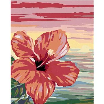 Diamondi - Diamantové malování - RŮŽOVÝ IBIŠEK, 40x50 cm, bez rámu a bez vypnutí plátna (602662A)