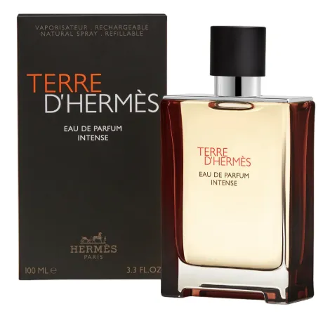 Hermes Terre D`Hermès Intense - EDP (plnitelná) 100 ml