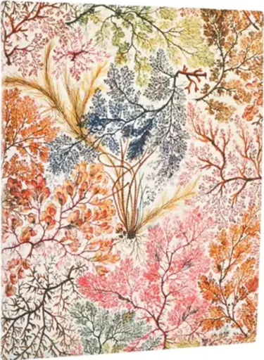 Adresář Paperblanks 2026 - Anemone ULTRA