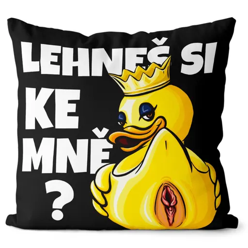Polštář Lehneš si ke mně? (Velikost: 40 x 40 cm)