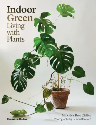 Indoor Green: Living with Plants - Mr Kitly's Bree Claffey