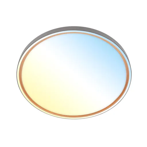 BRILONER Ina stropní svítidlo pr.49 cm - 48W, 5200lm, stmívatelné, LED, dálkový ovladač, CCT, antracit 3956015