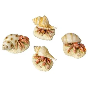 Ebi Aqua Della Poustevník Krabí mix 9,3 × 6 × 4,9 cm 1 ks (4047059421017)