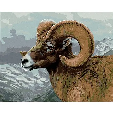 Zuty - Malování podle čísel – OVCE TLUSTOROHÁ A HORY (JAMES HAUTMAN), 80x100 cm, vypnuté plátno na r (HRAmmb05015nad)