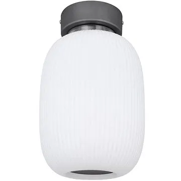 Globo - LED Stropní svítidlo LED/21W/230V (123374)