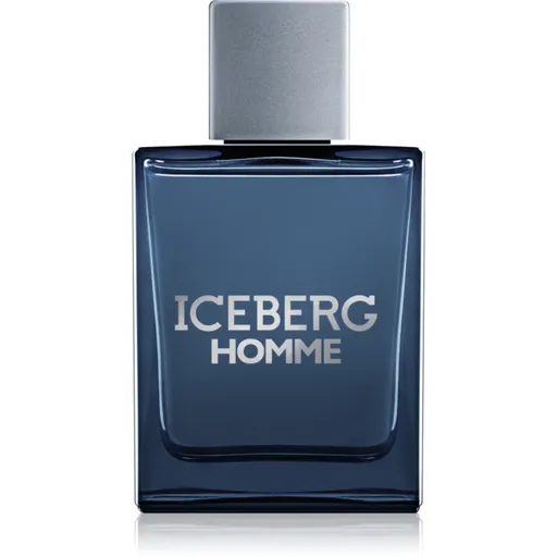 Iceberg Homme toaletní voda pro muže 100 ml