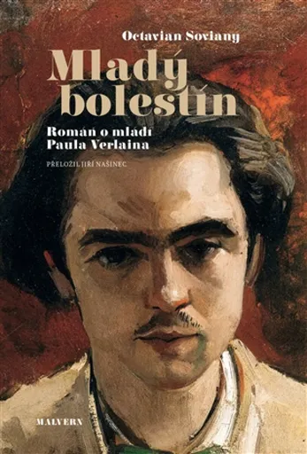 Mladý bolestín - Octavian Soviany