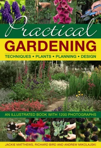 Practical Gardening - Jackie Matthews