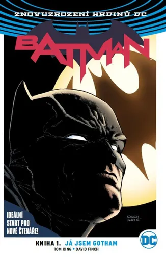 Batman 01: Já jsem Gotham V8 - David Finch, Tom King